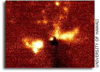 A Giant Cocoon of Molecular Hydrogen Discovered Around a Massive Young Star