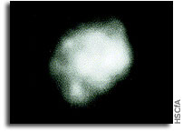 Asteroid Juno has a