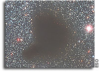 Molecular Cloud has a Heartbeat