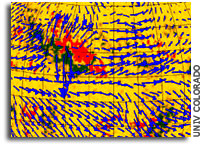 Magnetic Storms on the Sun Have Weather Cells