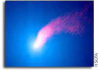 Suns Of All Ages Possess Comets, Maybe Planets