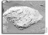 NASA Opportunity Mars Rover Image: Rock Striations