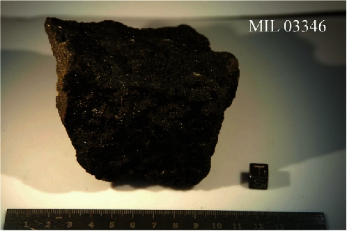 Martian Meteorite MIL 03346