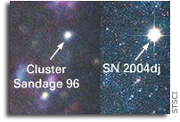 A Bright Supernova in the Nearby Galaxy NGC 2403
