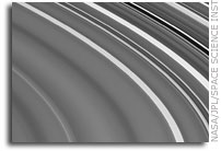 Outer C Ring Detail