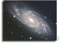 Explosions in Majestic Spiral Beauties
