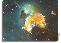 Hubble Image: Supernova Remnant Menagerie
