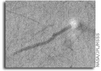 NASA Mars Picture of the Day: Caught in the Act