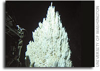 Hydrogen and methane provide raw energy for life at 'Lost City'