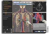 Ultrasound - a diagnostic tool for space, sports and more