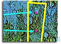 SMART-1 detects calcium on the Moon