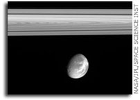 Captivating Dione