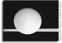 Rhea and Saturn's Rings