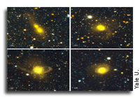 Galaxy collisions dominate the local universe