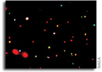 NASA Observatory Confirms Black Hole Limits