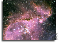 Hubble Sees Young Stars Sculpt Gas With Powerful Outflows