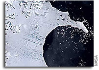 Discovering an Ecosystem Beneath a Collapsed Antarctic Ice Shelf