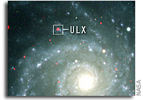 X-Rays Signal Presence of Elusive Intermediate Mass Black Hole