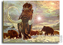 Supernova Explosion May Have Caused Mammoth Extinction