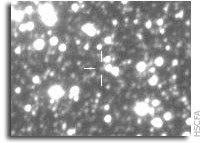 Amateur and Professional Astronomers Team to Find a New Planet