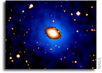 Concentrated Dark Matter at the Cores of Fossil Galaxies