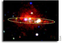 XMM-Newton view of hot ionised gas halo in NGC 4631