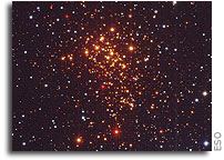 Young and Exotic Stellar Zoo -  ESO's Telescopes Uncover Super Star Cluster in the Milky Way