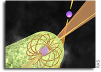 Pulsar Pair Gives Scientists Magneto-Pause for Thought