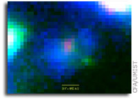 First Baby Photo of Stellar Twins