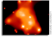 Galaxy Clusters, Near and Far, Have A Lot in Common