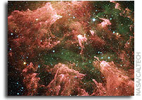 Carina Nebula dust pillars harbor embedded stars, says research team