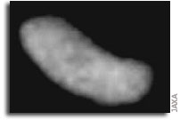 Hayabusa Closes in on Asteroid Itokawa