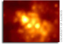 Super-star clusters may be born small and grow by coalescing
