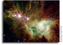 A Holiday Gift from Space: Spitzer Photographs Christmas Tree Cluster