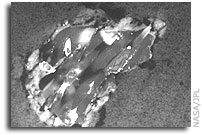 NASA's Stardust Findings May Alter View of Comet Formation