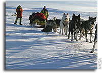 NASA Scientists in Dogged Pursuit of Amount of Snow on Earth Embark on Arctic Trek