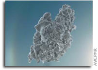 Cosmic dust in Terrestrial Ice