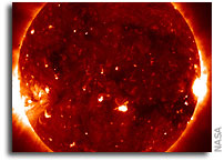 First Images From Hinode Offer New Clues About Our Violent Sun