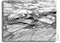Mars Exploration Rover Opportunity  Status: 11 March 2006