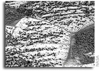 Opportunity Status 18 December 2006