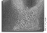 Mars Picture of the Day: Noachis Dunes
