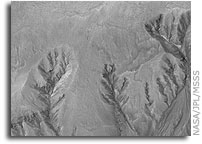 NASA Mars Picture of the Day: Terra Sirenum Gullies