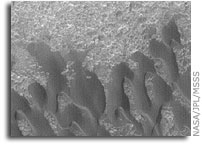 Mars Picture of the Day: Tyrrhena Dunes