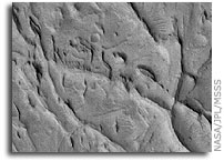 Mars Picture of the Day: Inverted Channels
