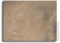 Mars Picture of the Day: Mars at Ls 39 degrees