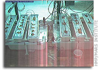 Greenhouse Webcam 2