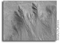 Mars Picture of the Day: Northern Gullies