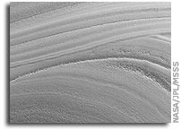 Mars Picture of the Day: Polar Exposure