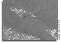 Mars Picture of the Day: Bits and Pieces