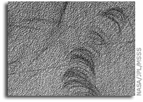 Mars Picture of the Day: Devil's Scratches